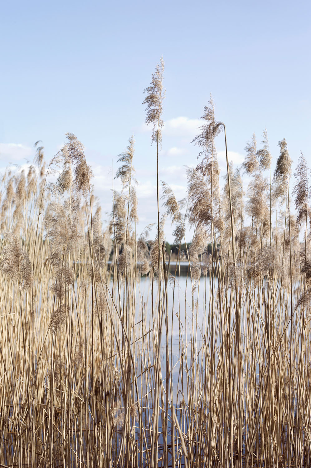 Leica-S-Magazine-Digital-Feature-Joachim-Baldauf-Berlin-20