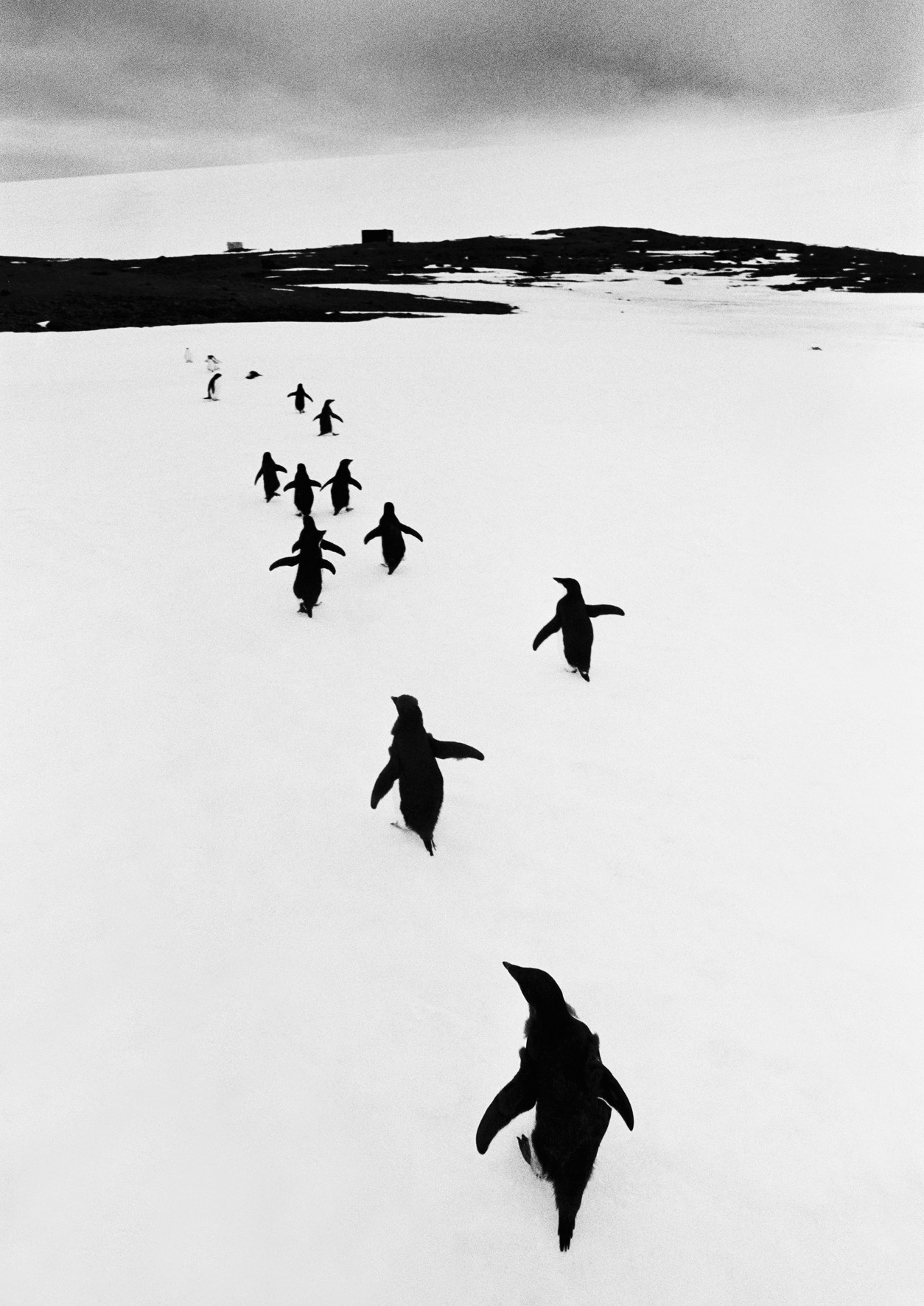 Thomas Hoepker's Wanderlust exhibition opens at Leica