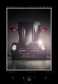 Rene_Staud_300SL_Kalender2012-1